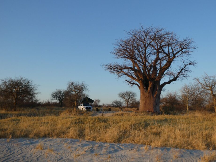 Self-drive door Namibië en Botswana