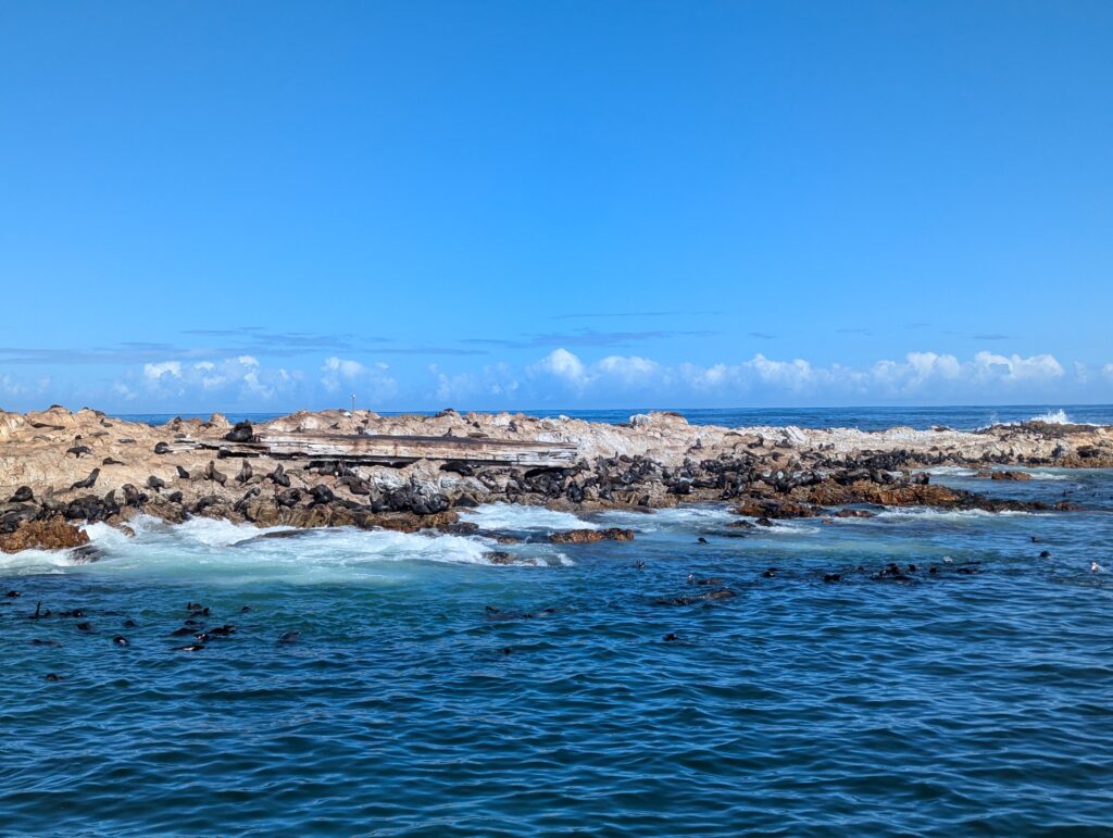 Boottocht vanaf de kust bij Stanford in Zuid-Afrika tijdens het walvisseizoen