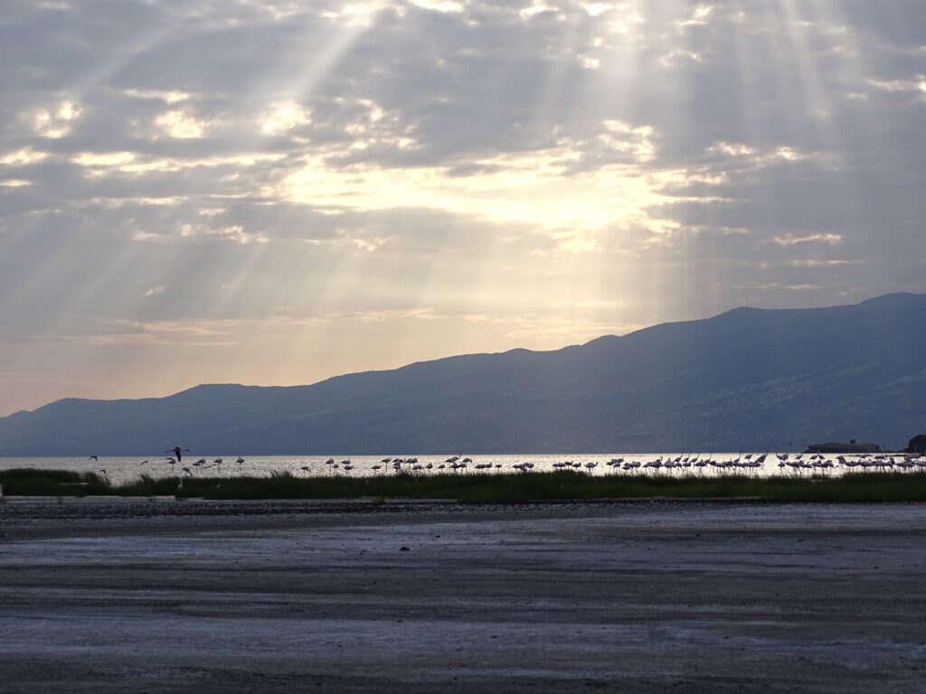 Lake-Natron-zonsondergang-flamingos
