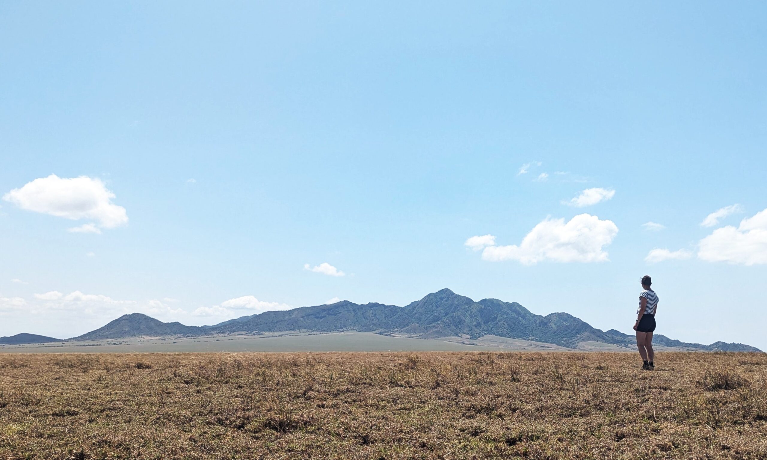 Open plains in Tanzania