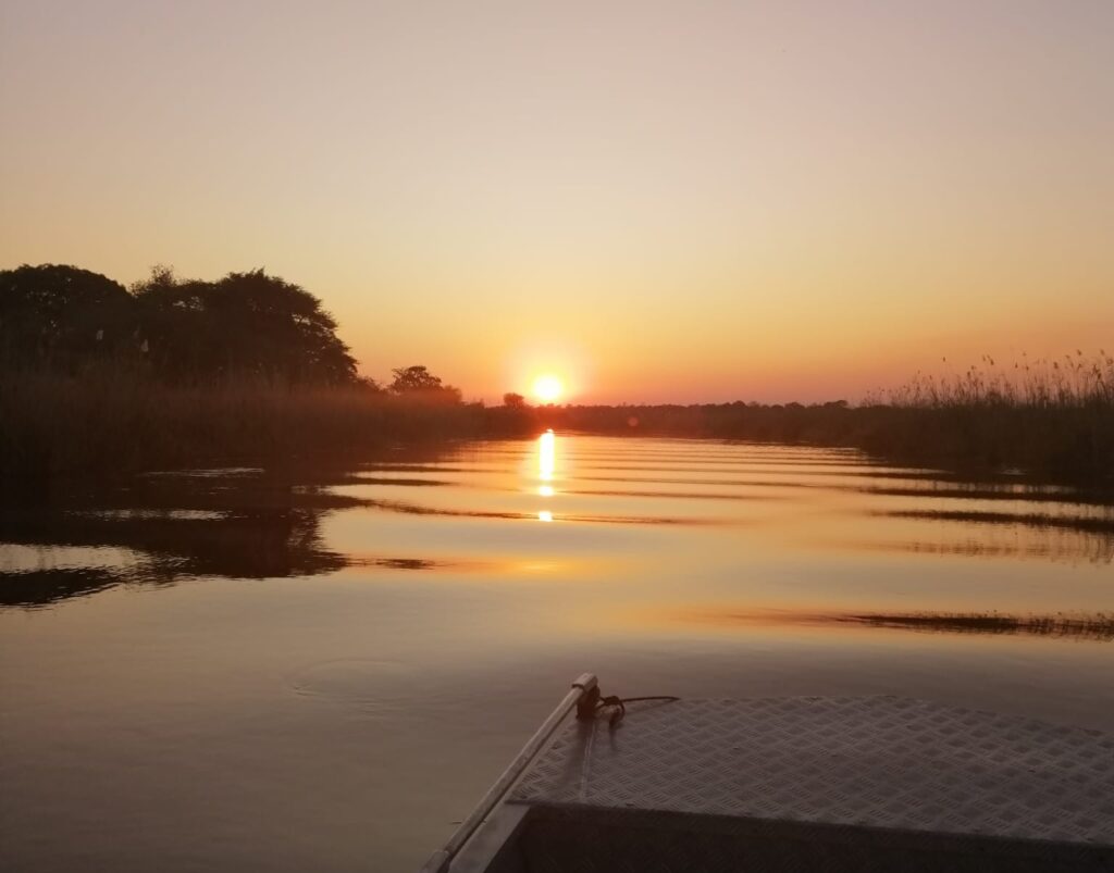 Boat cruise Botswana tijdens individuele rondreis Namibië, Botswana en Zimbabwe