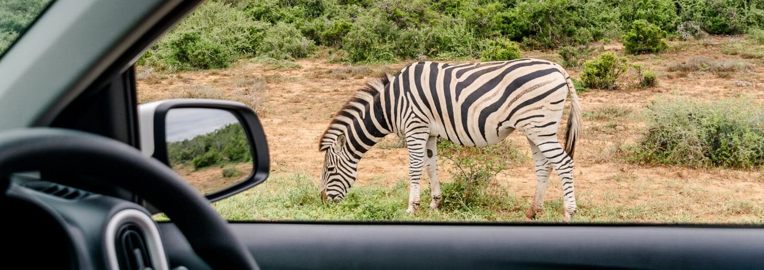 Autorijden in Zuid-afrika met prachtige uitzichten