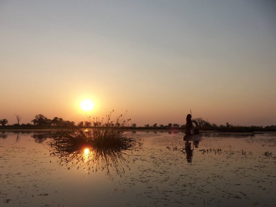 Mokoro Cruise in Okavango Delta tijdens individuele rondreis Namibië, Botswana en Zimbabwe