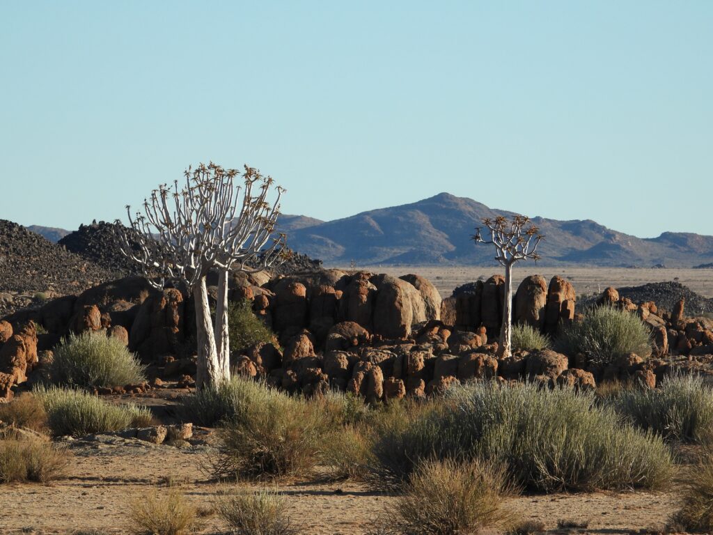 Uitzichten in Namibië tijdens een rondreis in november
