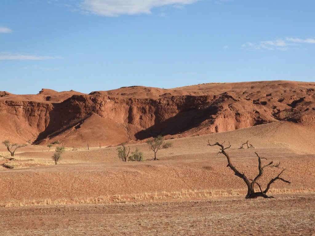 Uitgestrekte landschappen in Namibië tijdens een rondreis in november