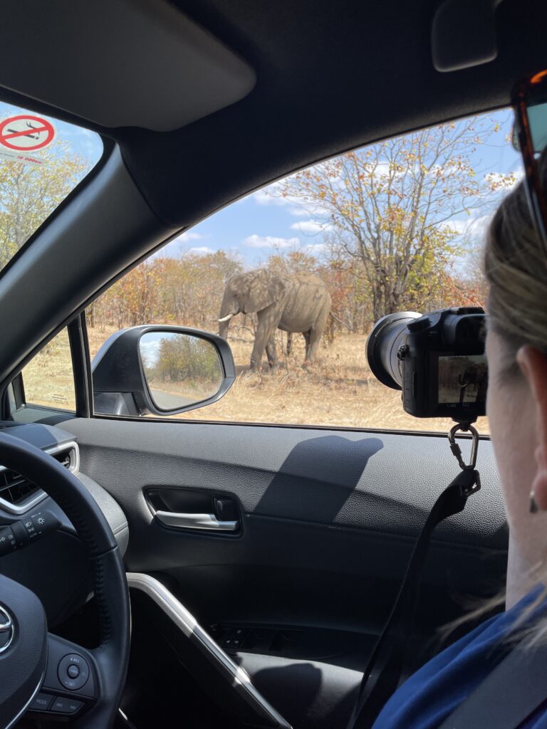Auto huren voor jouw rondreis