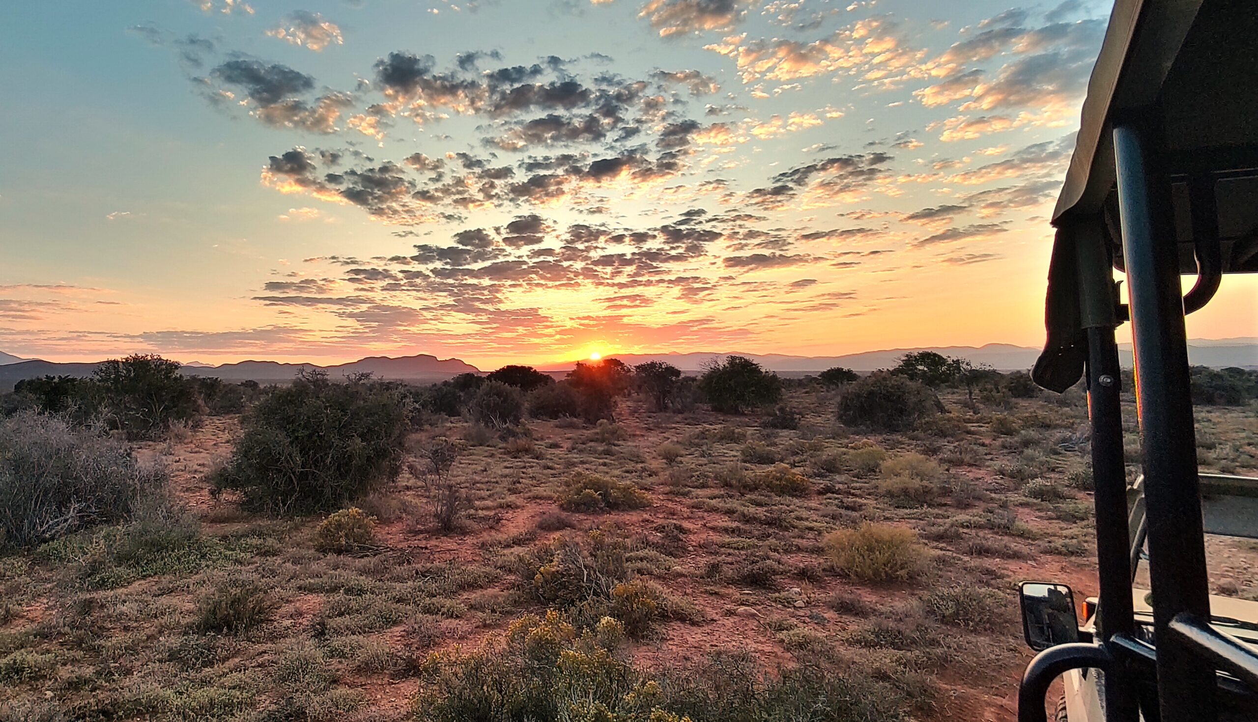 Zonsopkomst in Oudtshoorn