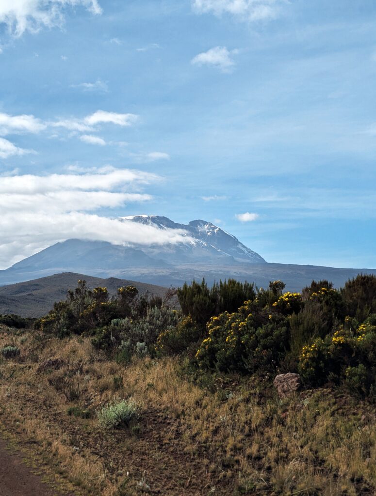 Kilimanjaro-vanaf-Shira-Plateau