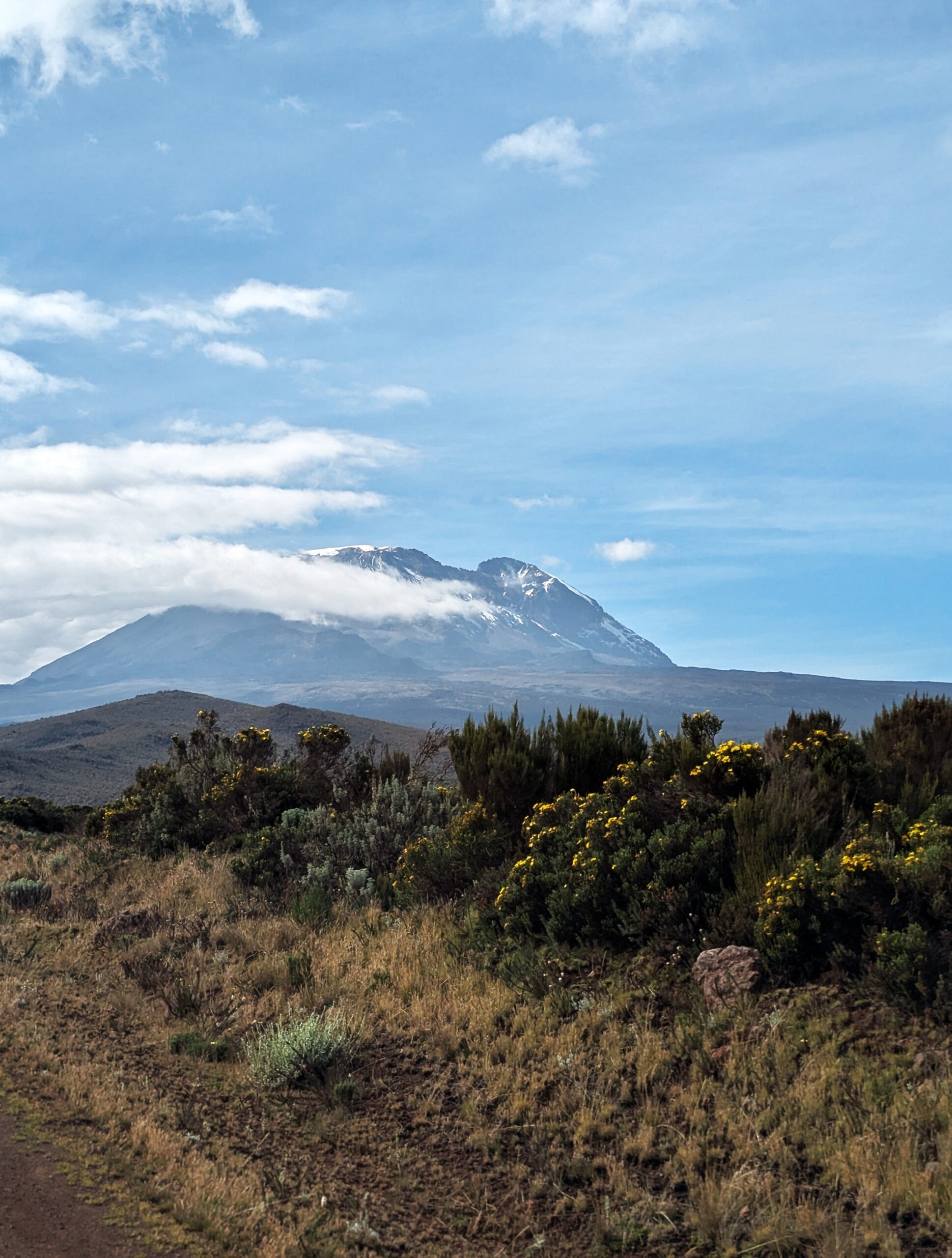 Kilimanjaro-vanaf-Shira-Plateau