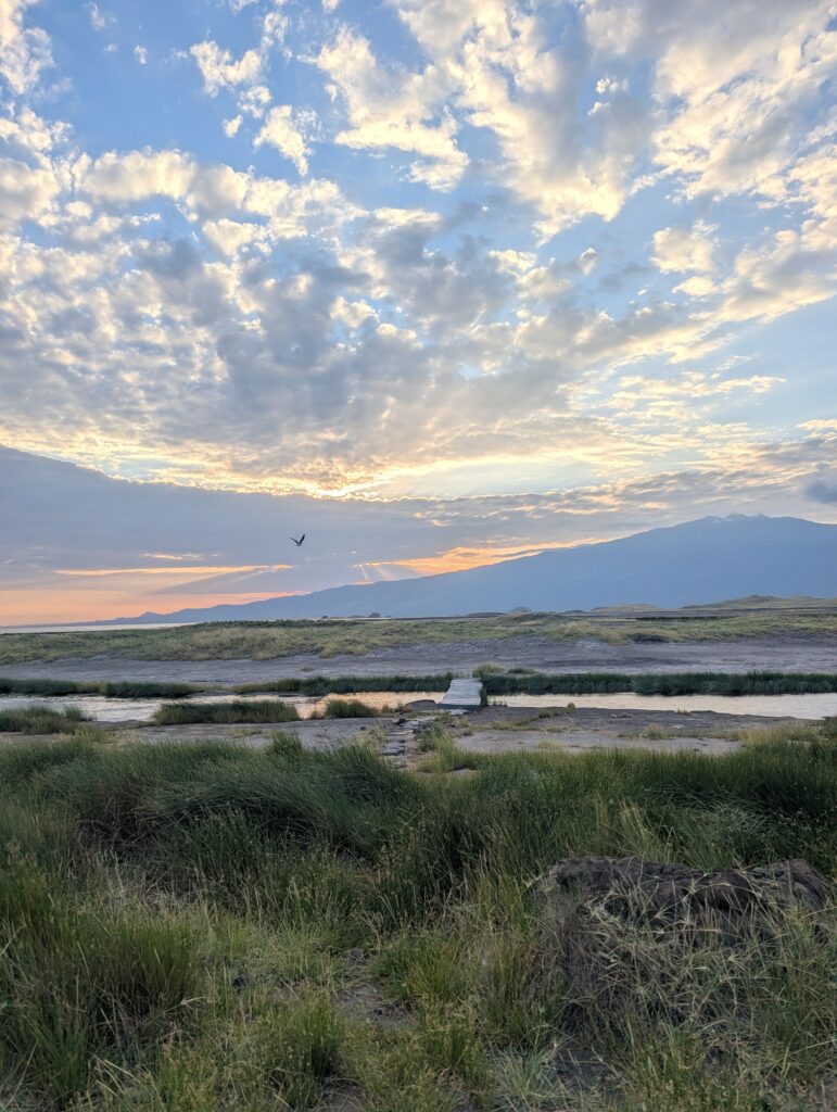 Lake-Natron-zonsondergang-met-vogel