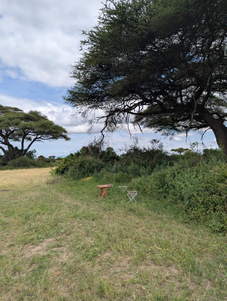 Picknick-West-Kilimanjaro-onder-een-boom