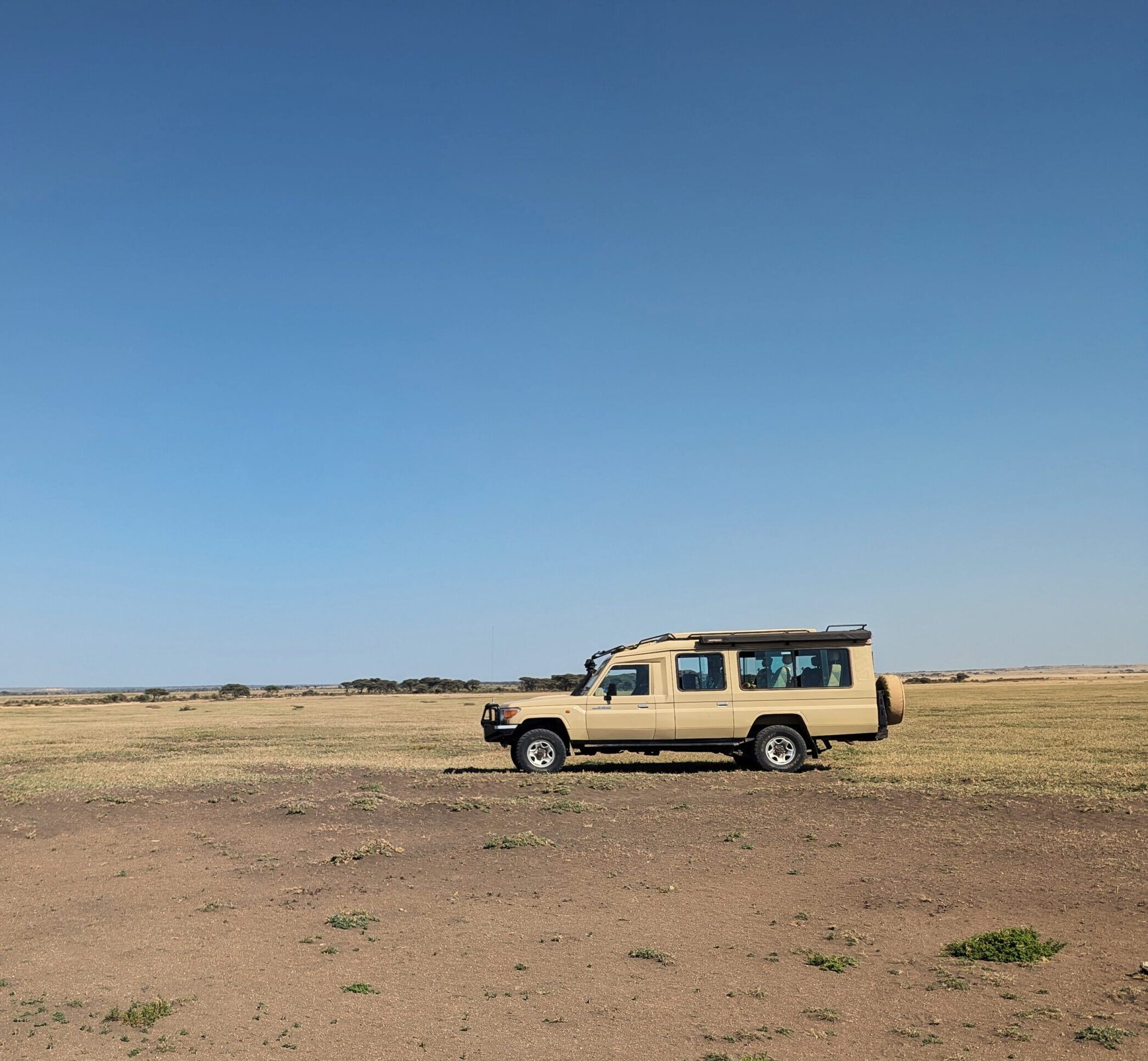 Safarivoertuig-Ndutu-Plains