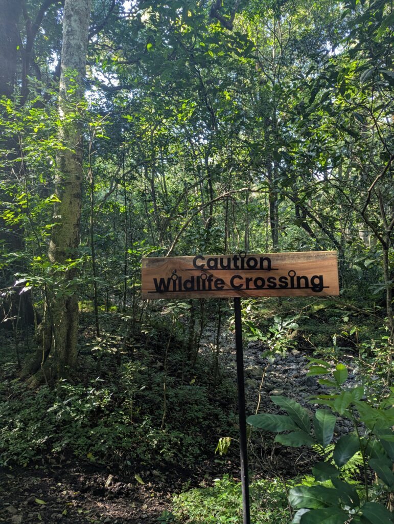 Wandelpaden-Arusha-national-park